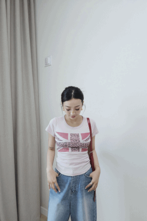 豹紋國旗透紗圓領上衣